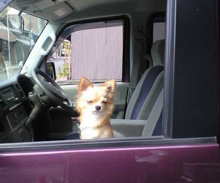 ���݂ʂ���������Ƃ��ʂ̂킳��