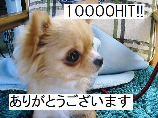 ���݂ʂ���������Ƃ��ʂ̂킳��