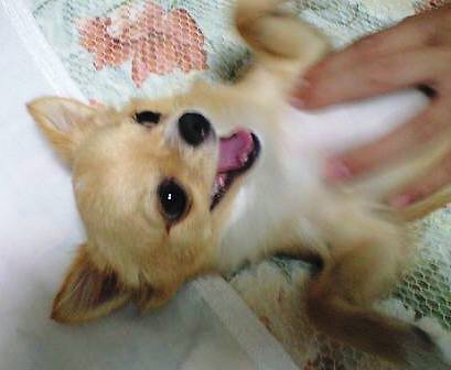 ���݂ʂ���������Ƃ��ʂ̂킳��