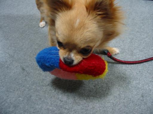 ���݂ʂ���������Ƃ��ʂ̂킳��