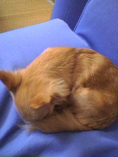 ���݂ʂ���������Ƃ��ʂ̂킳��