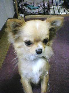 ���݂ʂ���������Ƃ��ʂ̂킳��