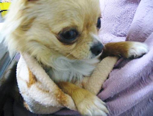 ���݂ʂ���������Ƃ��ʂ̂킳��