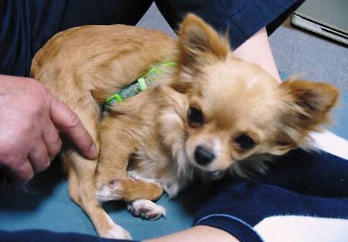 ���݂ʂ���������Ƃ��ʂ̂킳��