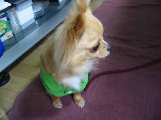 ���݂ʂ���������Ƃ��ʂ̂킳��