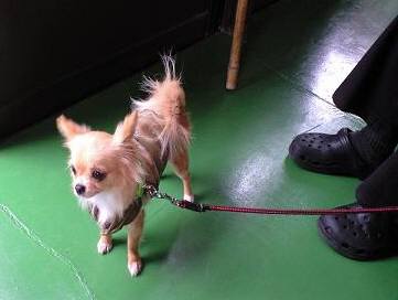 ���݂ʂ���������Ƃ��ʂ̂킳��