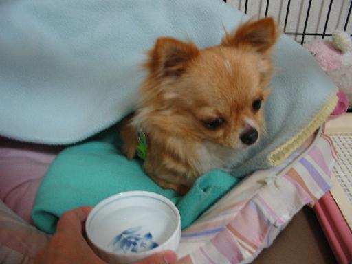 ���݂ʂ���������Ƃ��ʂ̂킳��