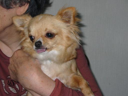 ���݂ʂ���������Ƃ��ʂ̂킳��