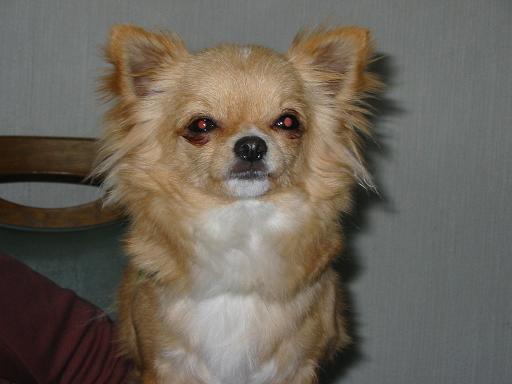 ���݂ʂ���������Ƃ��ʂ̂킳��