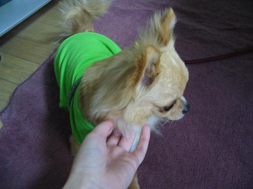 ���݂ʂ���������Ƃ��ʂ̂킳��