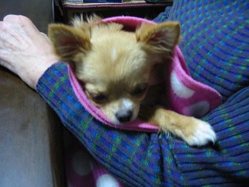 ���݂ʂ���������Ƃ��ʂ̂킳��