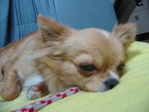 ���݂ʂ���������Ƃ��ʂ̂킳��