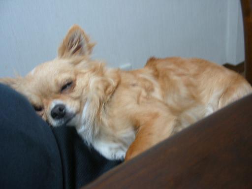 ���݂ʂ���������Ƃ��ʂ̂킳��