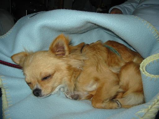 ���݂ʂ���������Ƃ��ʂ̂킳��