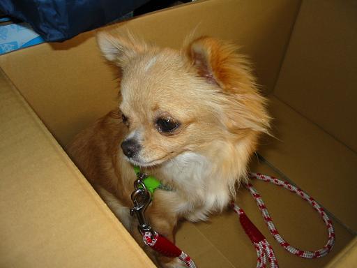 ���݂ʂ���������Ƃ��ʂ̂킳��