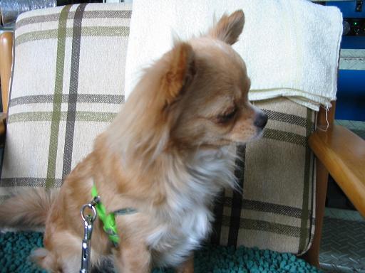 ���݂ʂ���������Ƃ��ʂ̂킳��