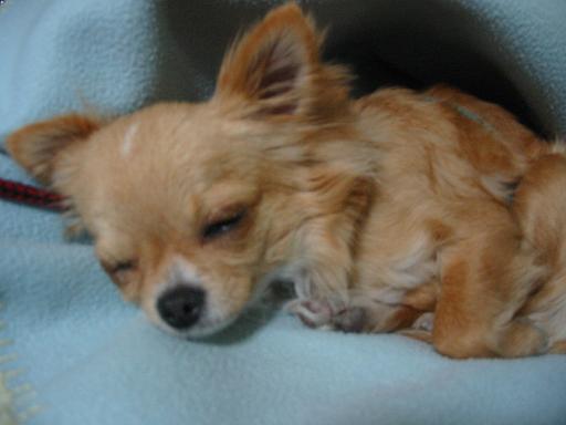 ���݂ʂ���������Ƃ��ʂ̂킳��