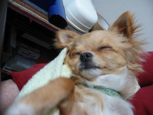 ���݂ʂ���������Ƃ��ʂ̂킳��