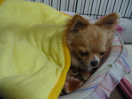 ���݂ʂ���������Ƃ��ʂ̂킳��