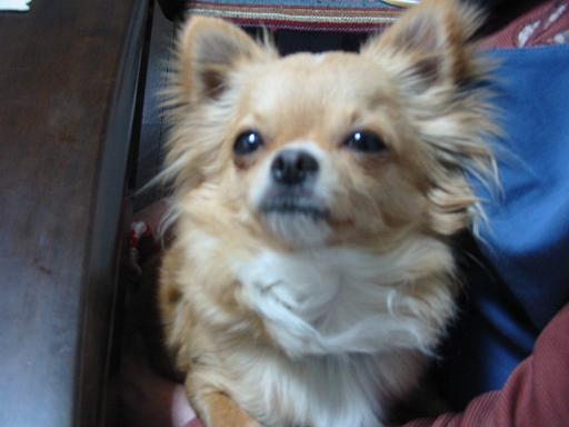 ���݂ʂ���������Ƃ��ʂ̂킳��