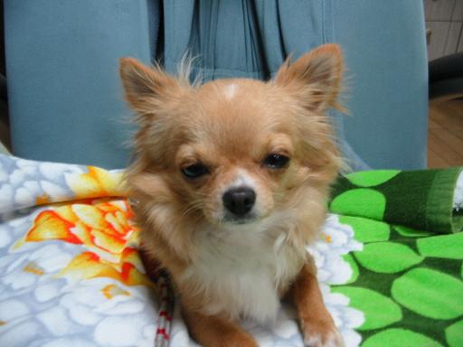 ���݂ʂ���������Ƃ��ʂ̂킳��