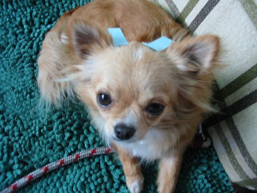 ���݂ʂ���������Ƃ��ʂ̂킳��