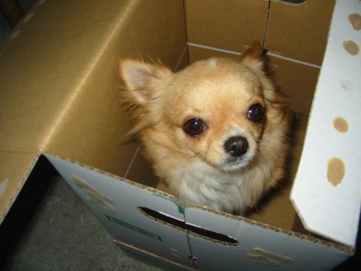 ���݂ʂ���������Ƃ��ʂ̂킳��