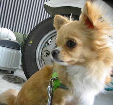 ���݂ʂ���������Ƃ��ʂ̂킳��