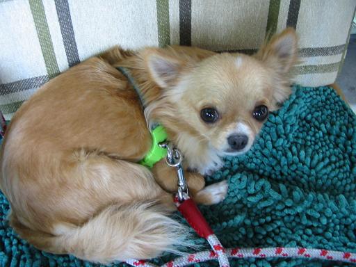 ���݂ʂ���������Ƃ��ʂ̂킳��