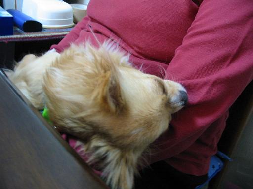 ���݂ʂ���������Ƃ��ʂ̂킳��