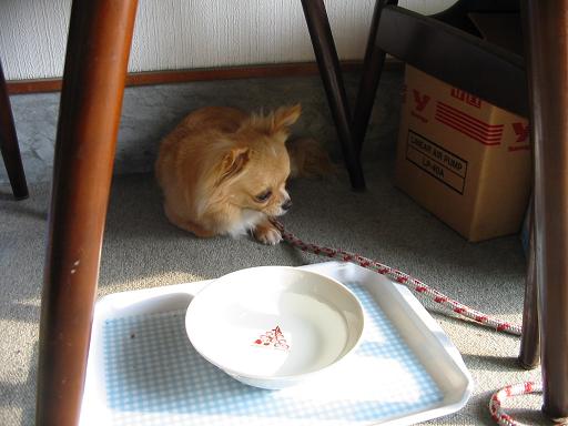 ���݂ʂ���������Ƃ��ʂ̂킳��