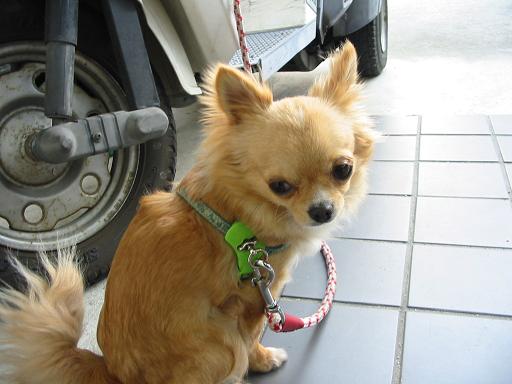 ���݂ʂ���������Ƃ��ʂ̂킳��