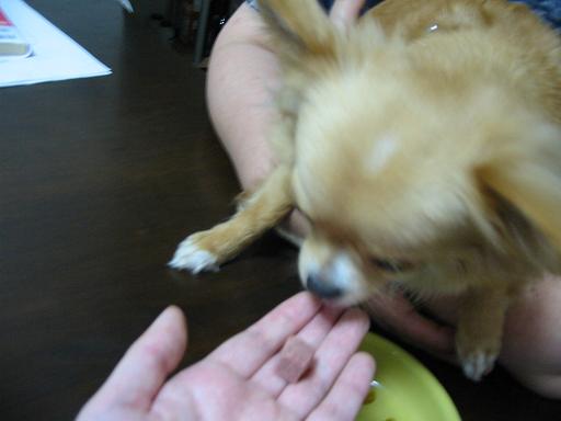 ���݂ʂ���������Ƃ��ʂ̂킳��