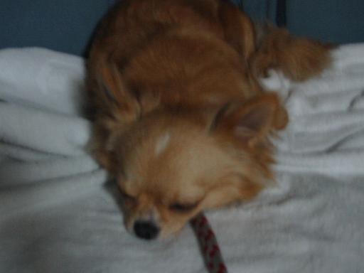 ���݂ʂ���������Ƃ��ʂ̂킳��