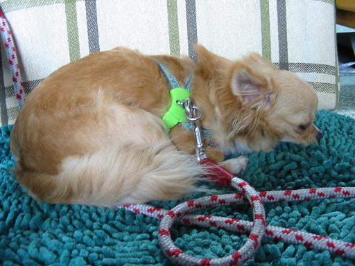 ���݂ʂ���������Ƃ��ʂ̂킳��