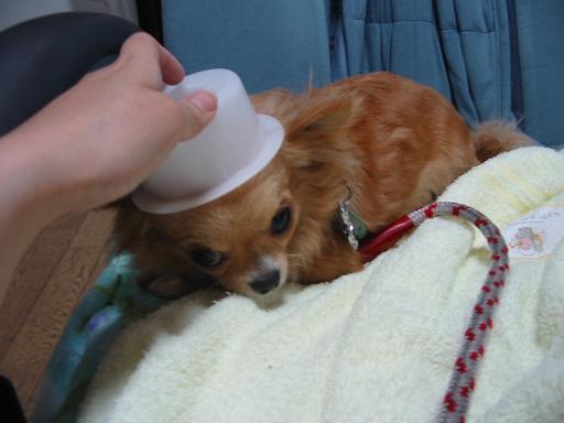 ���݂ʂ���������Ƃ��ʂ̂킳��