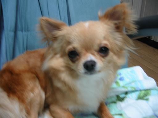 ���݂ʂ���������Ƃ��ʂ̂킳��