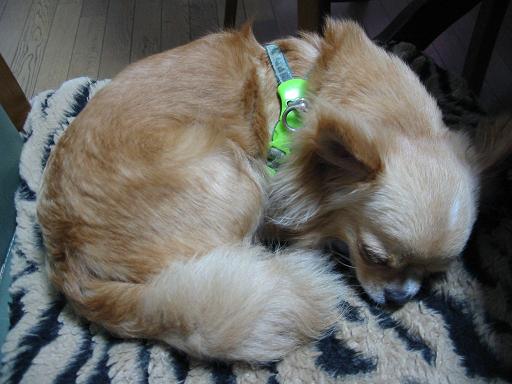 ���݂ʂ���������Ƃ��ʂ̂킳��