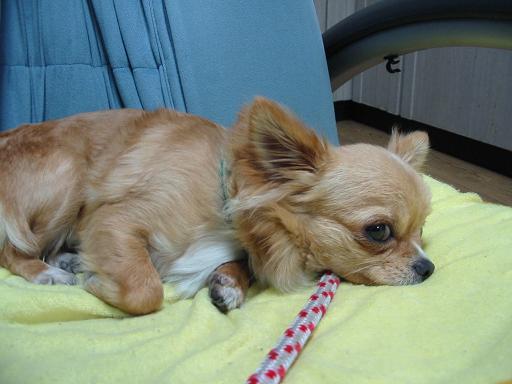 ���݂ʂ���������Ƃ��ʂ̂킳��