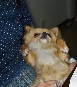 ���݂ʂ���������Ƃ��ʂ̂킳��