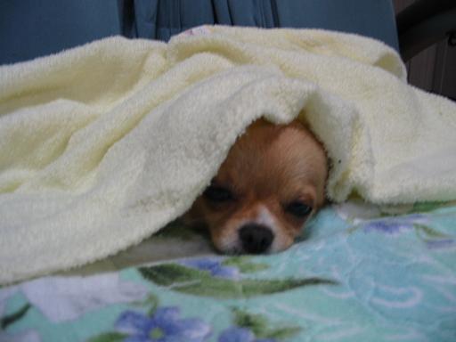 ���݂ʂ���������Ƃ��ʂ̂킳��