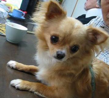 ���݂ʂ���������Ƃ��ʂ̂킳��