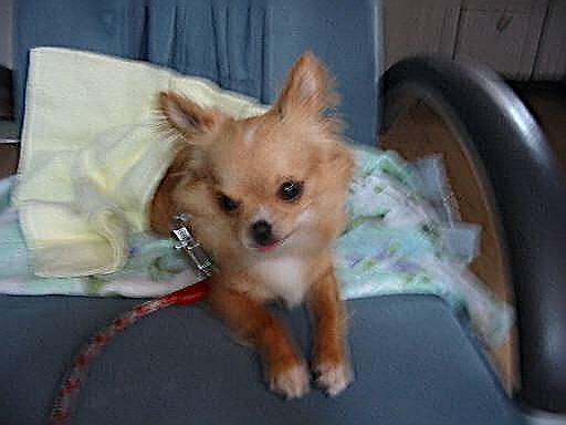 ���݂ʂ���������Ƃ��ʂ̂킳��