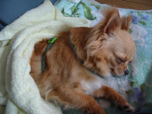 ���݂ʂ���������Ƃ��ʂ̂킳��