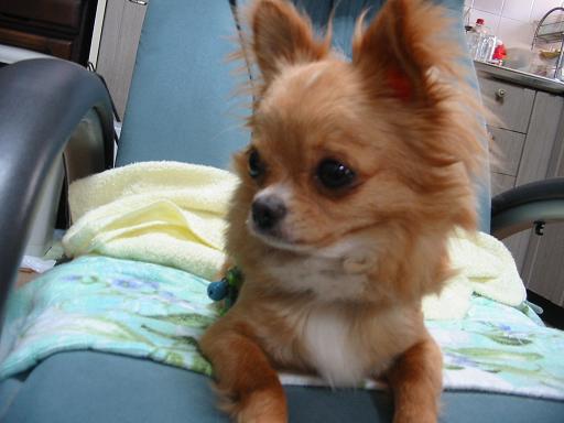 ���݂ʂ���������Ƃ��ʂ̂킳��