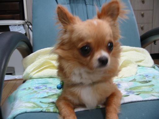 ���݂ʂ���������Ƃ��ʂ̂킳��