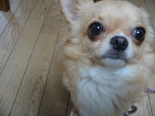 ���݂ʂ���������Ƃ��ʂ̂킳��