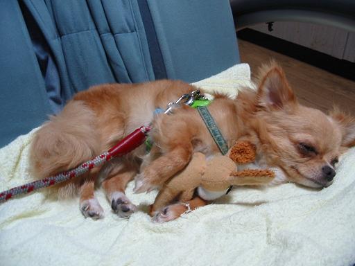 ���݂ʂ���������Ƃ��ʂ̂킳��