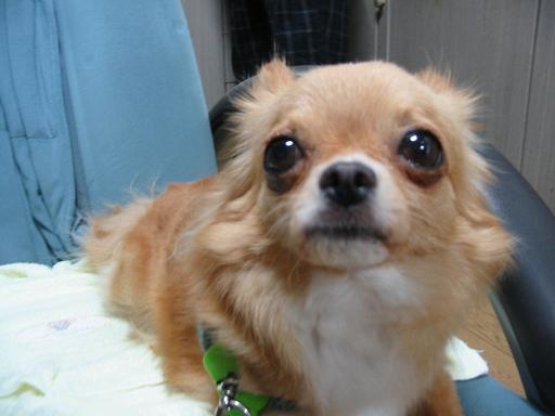 ���݂ʂ���������Ƃ��ʂ̂킳��