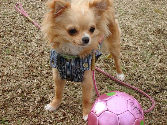 ���݂ʂ���������Ƃ��ʂ̂킳��